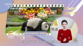 多p混交群体交乱h